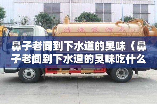鼻子老聞到下水道的臭味（鼻子老聞到下水道的臭味吃什么藥）