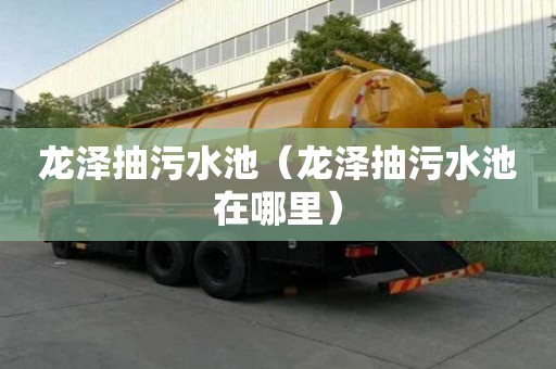 龍澤抽污水池（龍澤抽污水池在哪里）