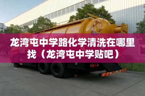 龍灣屯中學路化學清洗在哪里找（龍灣屯中學貼吧）
