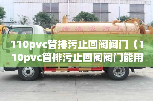 110pvc管排污止回閥閥門（110pvc管排污止回閥閥門能用多久）