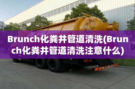 Brunch化糞井管道清洗(Brunch化糞井管道清洗注意什么)