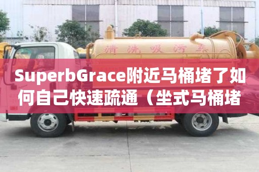SuperbGrace附近馬桶堵了如何自己快速疏通（坐式馬桶堵了如何自己快速疏通）