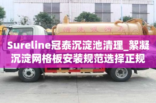 Sureline冠泰沉淀池清理_絮凝沉淀網(wǎng)格板安裝規(guī)范選擇正規(guī)優(yōu)質(zhì)的
