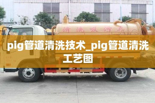 pig管道清洗技術_pig管道清洗工藝圖
