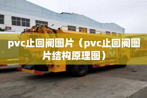 pvc止回閥圖片（pvc止回閥圖片結構原理圖）