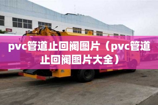 pvc管道止回閥圖片（pvc管道止回閥圖片大全）