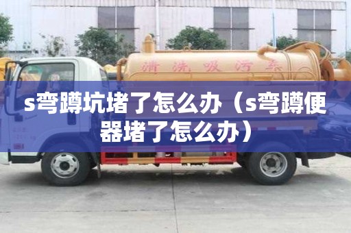 s彎蹲坑堵了怎么辦（s彎蹲便器堵了怎么辦）