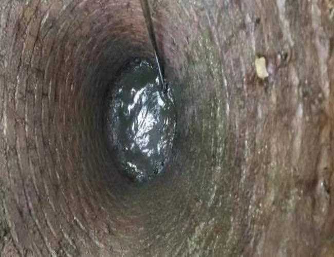化糞池清理，如何提高清理效果？