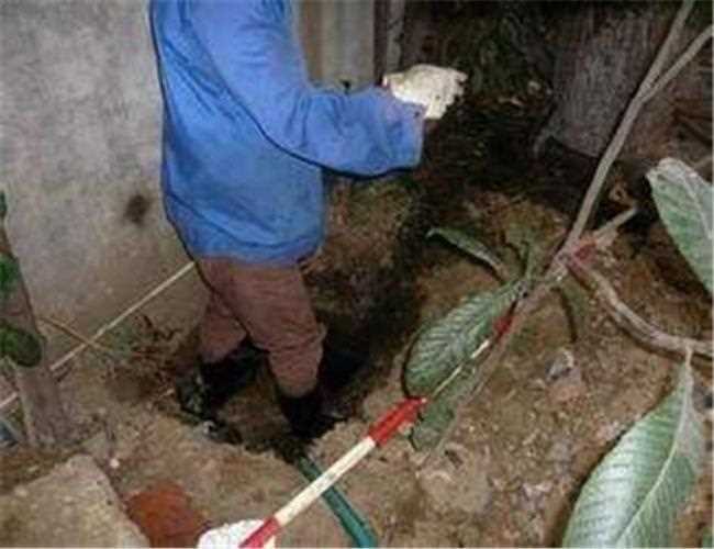 七級路下水道維修隔油池清掏一般要多少錢