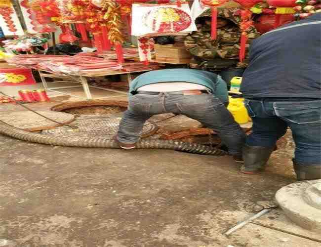 Master領寓廁所堵了怎么通花園水井清掏一般要多少錢