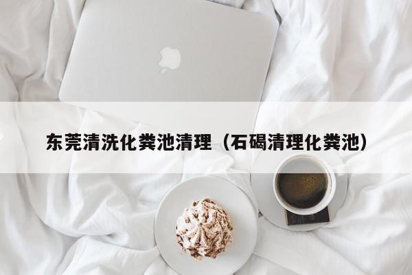 東莞清洗化糞池清理（石碣清理化糞池）