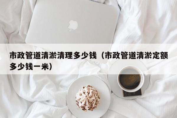 市政管道清淤清理多少錢（市政管道清淤定額多少錢一米）