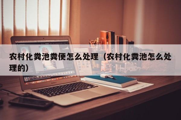 農村化糞池糞便怎么處理（農村化糞池怎么處理的）