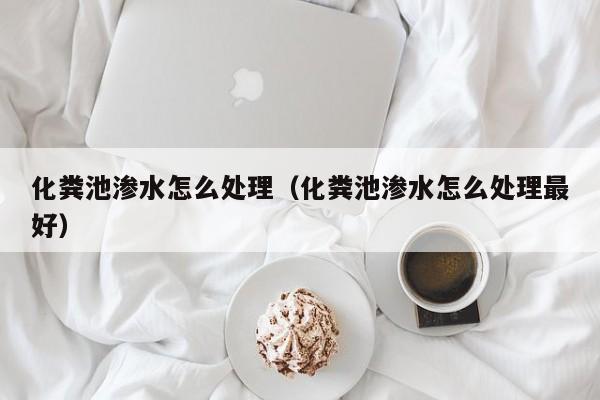 化糞池滲水怎么處理（化糞池滲水怎么處理最好）